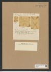 Chaetoceros radiculum Castr. (de-Toni-Nr.: Genus 149, Species 4144) Zeichnungen Sammlung Grunow Nr. 7701 (NHMW-BOT-W0376904)